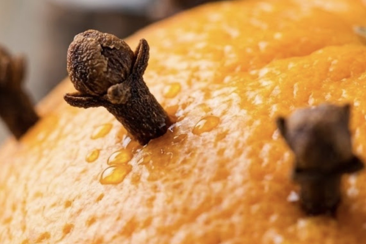 Clavos de olor clavados en la piel de una naranja, el remedio tradicional conocido como pomander